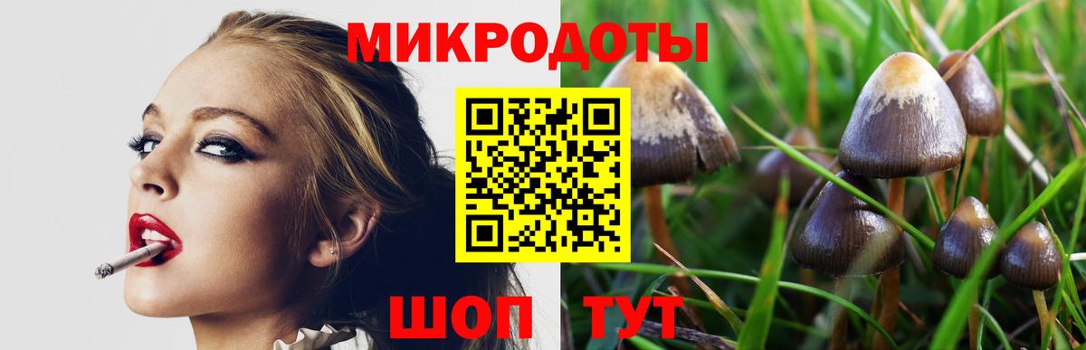 Псилоцибиновые грибы GOLDEN TEACHER Учалы